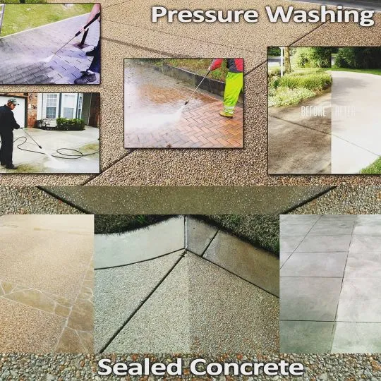 104392463_658346434721258_8181141683807312917_n