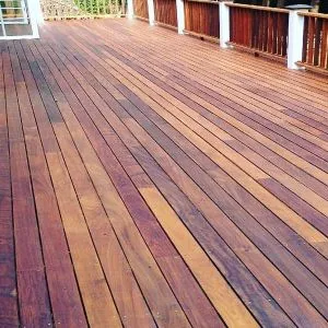 66030748_440759133146657_7525700017412112384_n