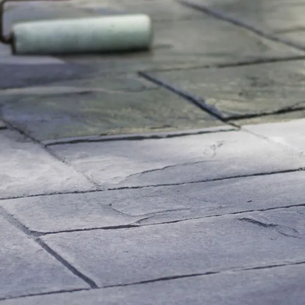 67871535_460301424525761_5217921257848176640_n